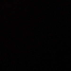 Meet your Posher, Darryl